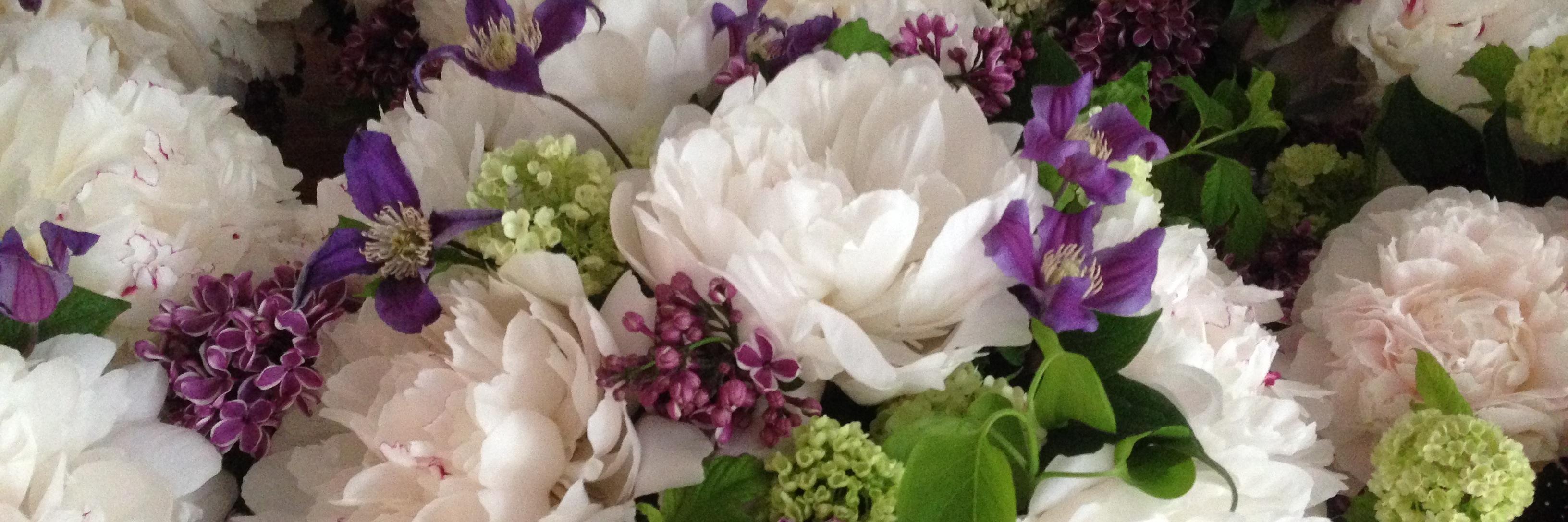 Remembering Lisa B. Adams banner