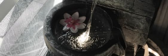 jensslou's profile banner image