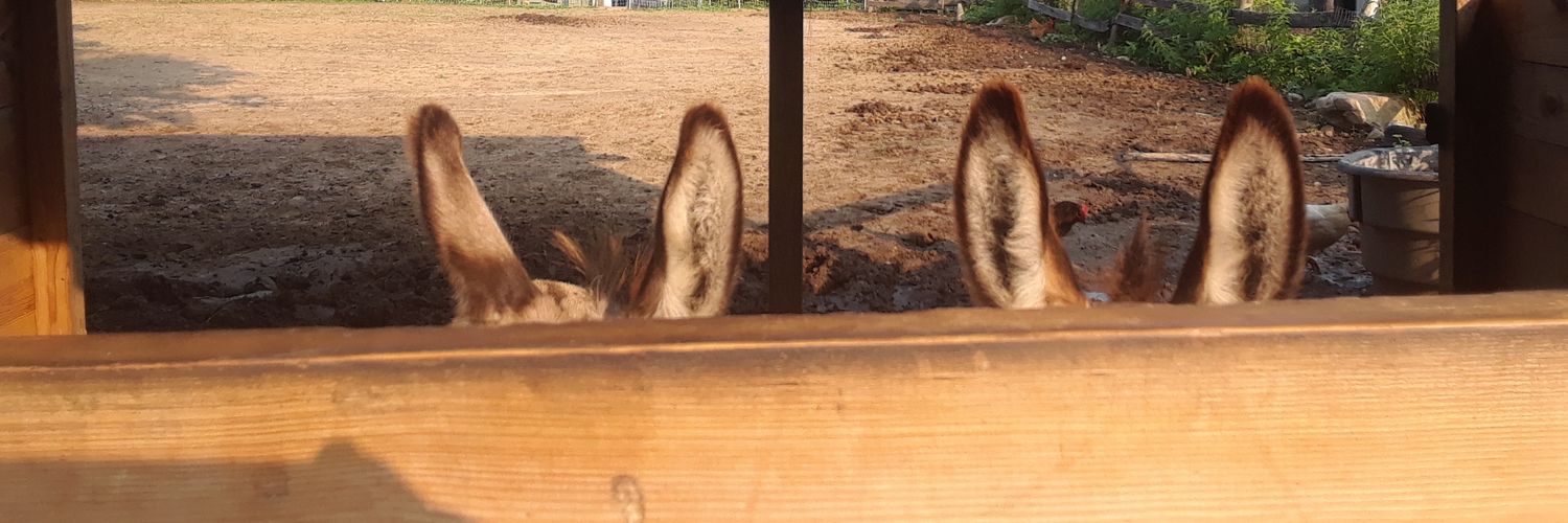 mcdeieio's profile banner image
