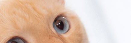 vlad the hyperscaler banner