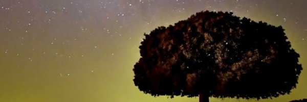 KD_Gray Profile Banner