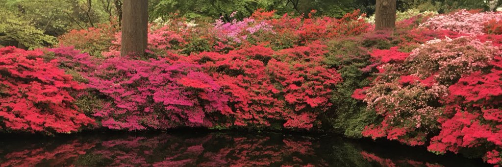 Jade Bell 💙🕊🌍 banner