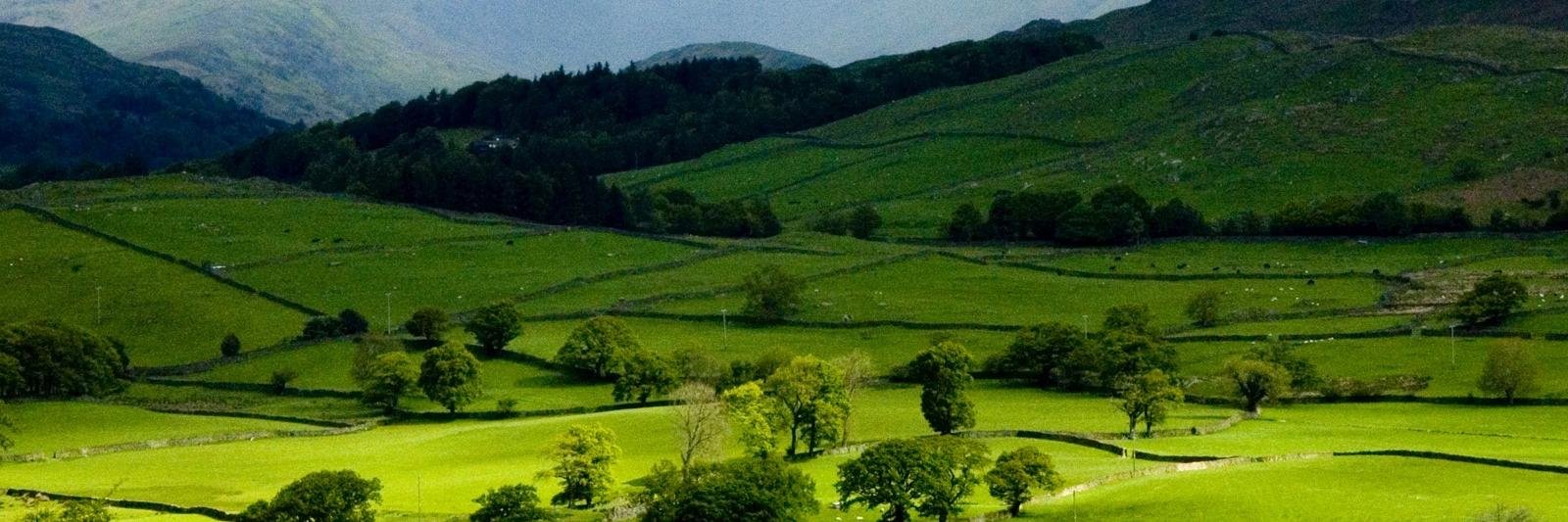 Andi De Cesaris 🏴󠁧󠁢󠁥󠁮󠁧󠁿 banner