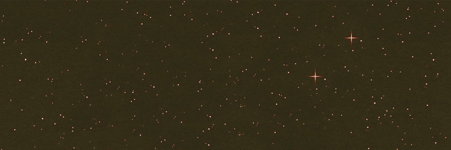 stephdelreyx's profile banner image