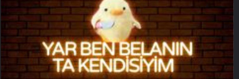 _mlsalkn6's profile banner image