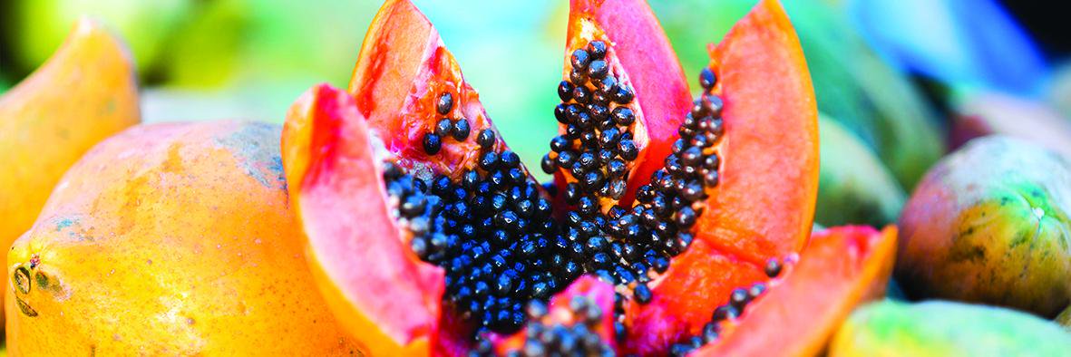 purebyphytocare's profile banner image