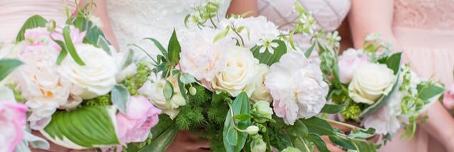 PrudentePhoto's profile banner image