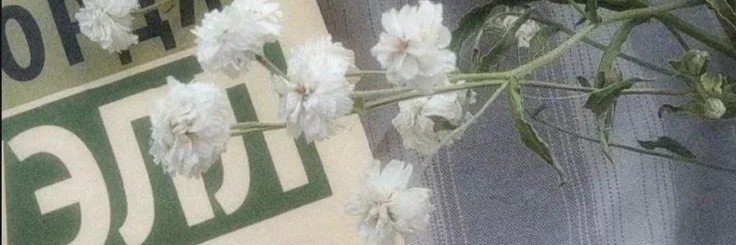 ayyaraaa banner