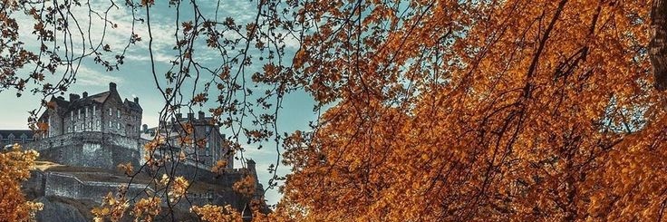 flo banner