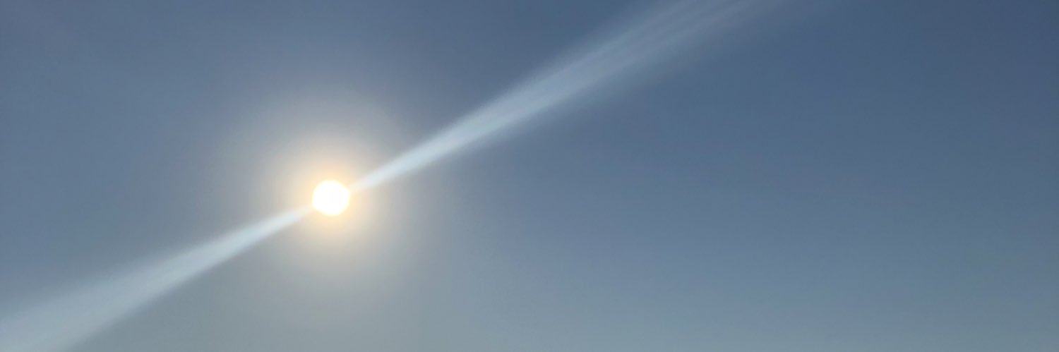 salashimself's profile banner image