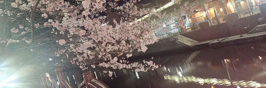 僕ちんJr.🍀 banner