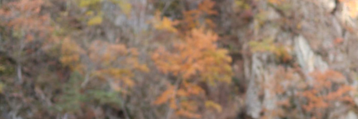 siyat's profile banner image