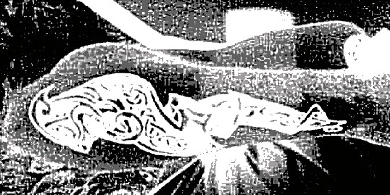 jaenpava's profile banner image