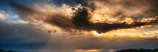 Emma Sysum 💙 🇺🇦🌻 #StandWithUkraine banner