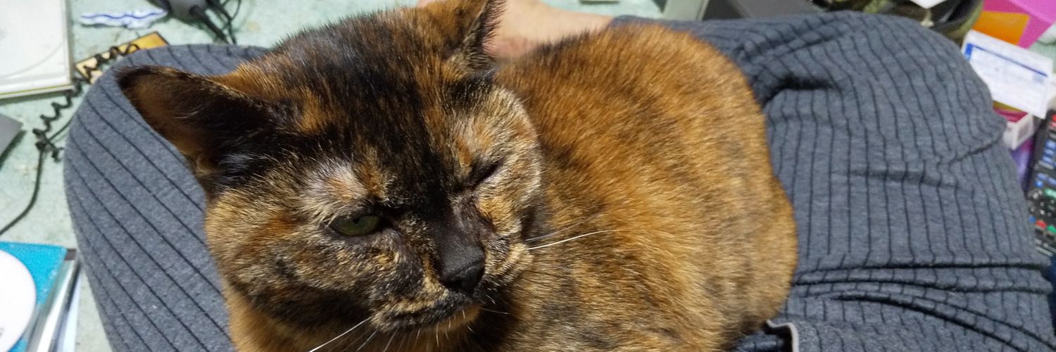 不知火幻封@Redo banner