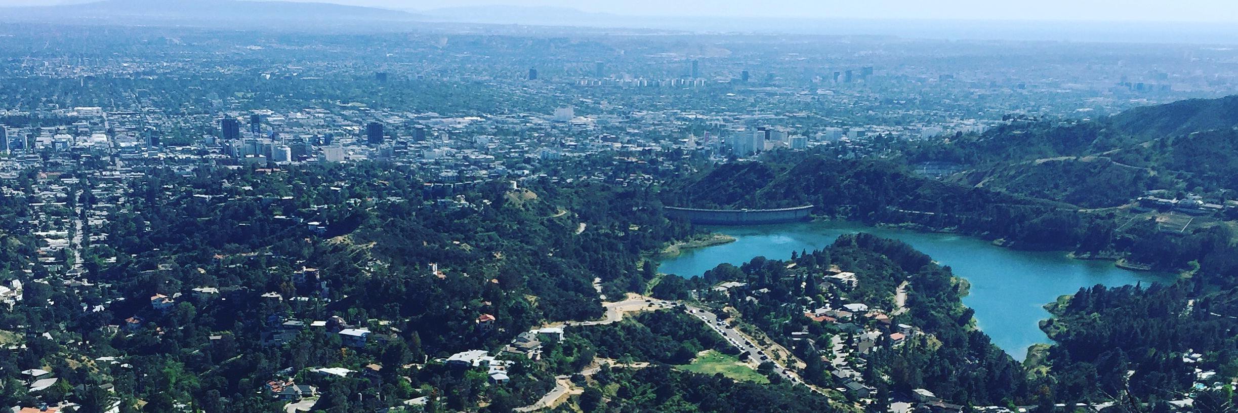 Victoria Male (she/her) banner