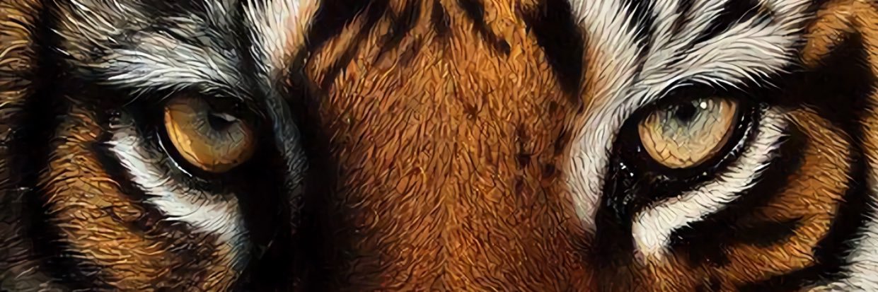 AndresGuzmanE's profile banner image