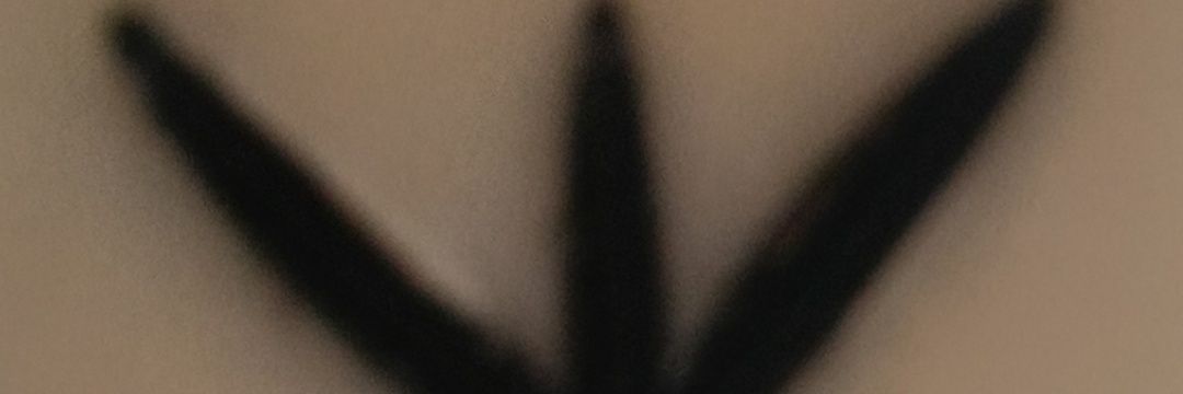 Anthony Seamight M.D. banner