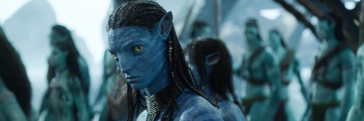 shanedollander's profile banner image
