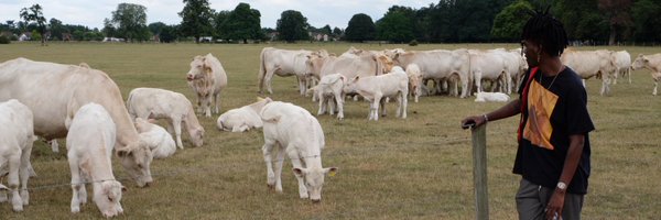 dvrryl Profile Banner