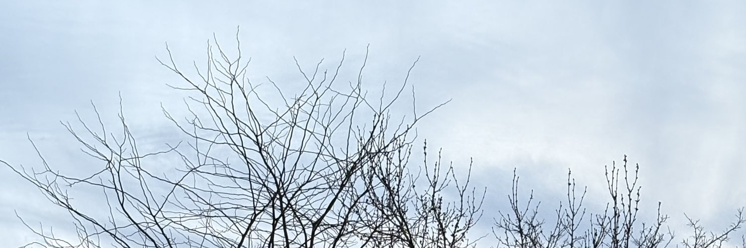 Yazbera1903's profile banner image