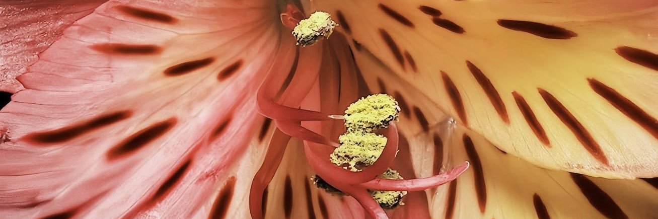 science biatch! banner