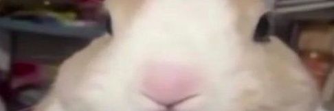 Megumi Fushiguro banner