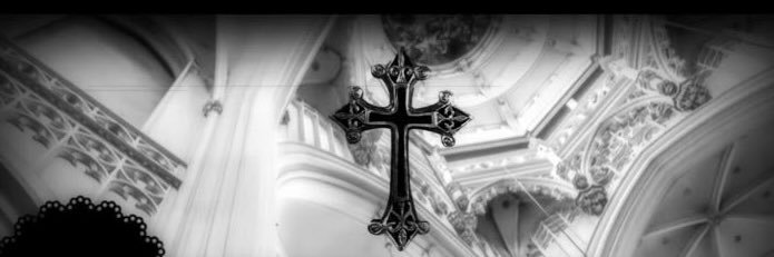 𝙫𝙞 banner