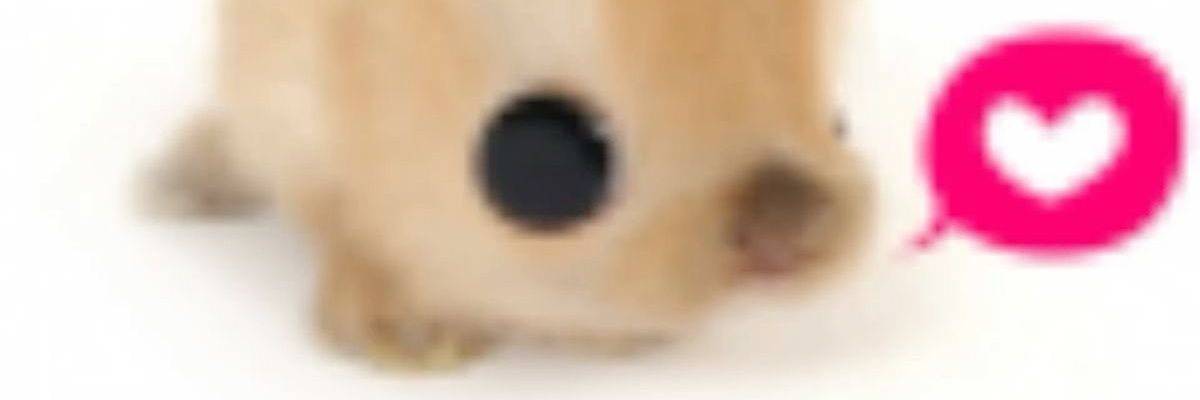 Luna Freaky🏳️‍⚧️ banner