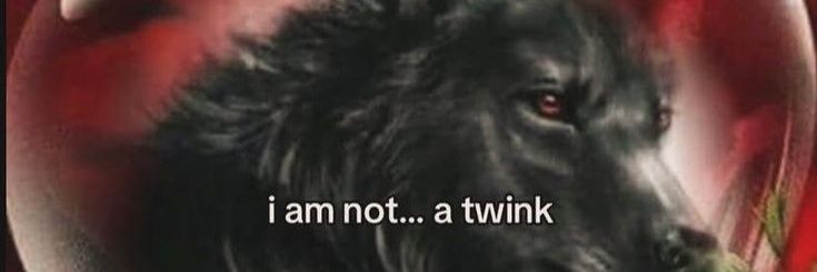 kanayaphobic's profile banner image