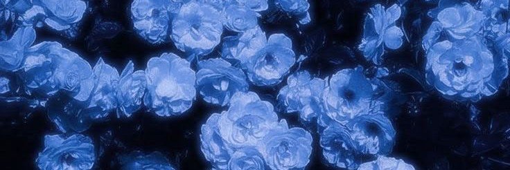 amoreliyyaa's profile banner image