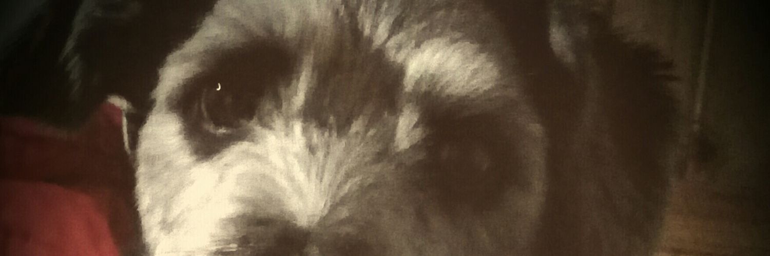 marceibalvaz's profile banner image
