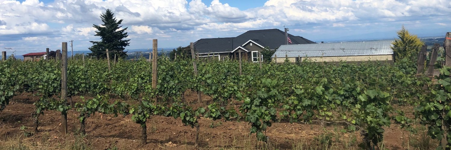 Chris Statile banner