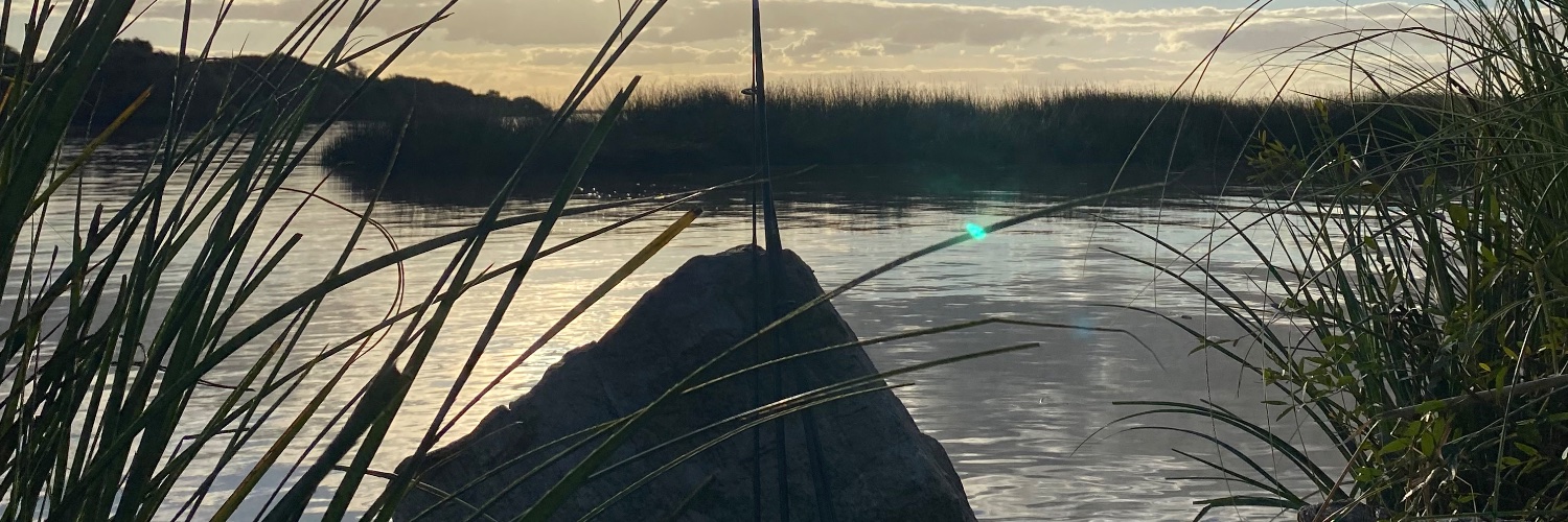 SaavedraFio's profile banner image