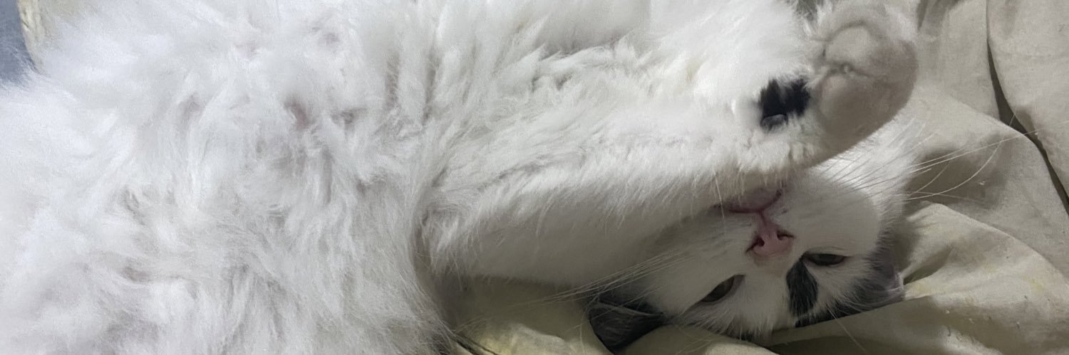 juulst_'s profile banner image