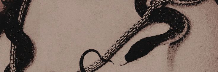 ͟♯ ͏ ͏ ͏* ͏ ͏ ͏ ͏𝟻𝟶𝟶 ͏ ͏ 𝒎𝗶𝗹𝗲𝘀 ͏ ͏ ⎖ banner