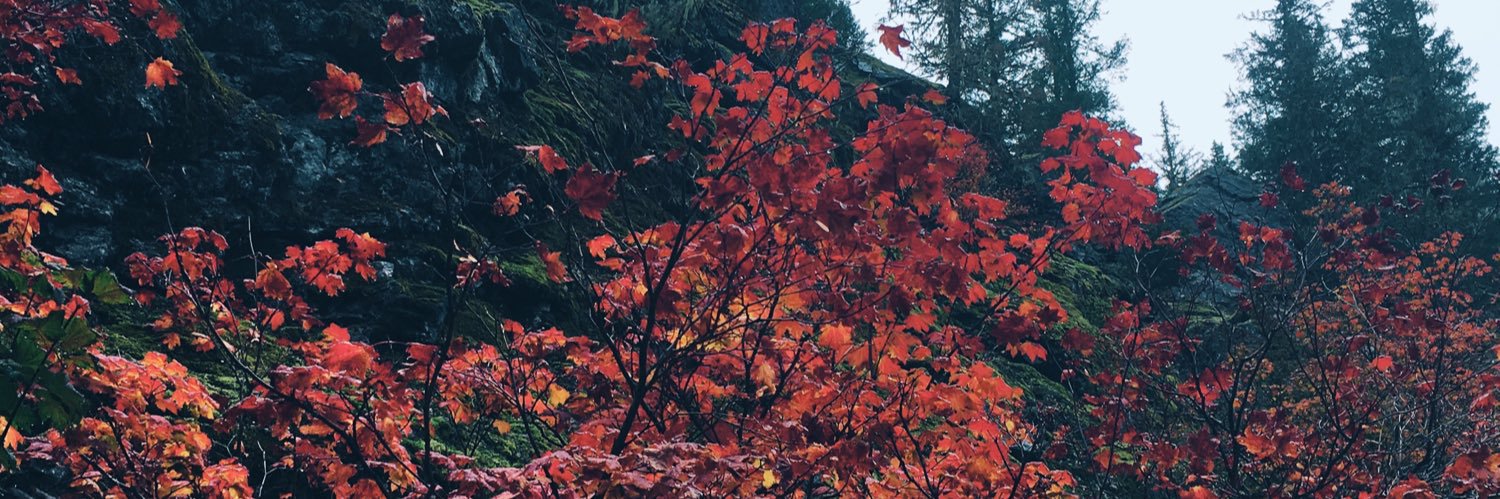 journalingirl's profile banner image