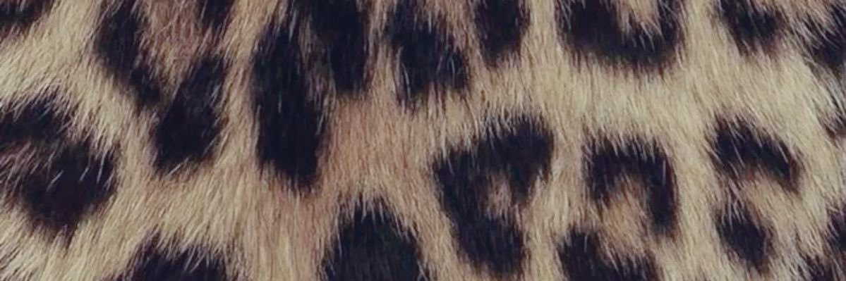 🇨🇦🇷🇴 Al3x | shedtwt & 988twt⋆˚࿔ banner