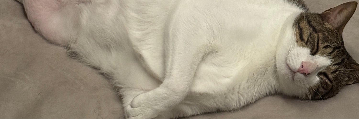 bitcat0703's profile banner image
