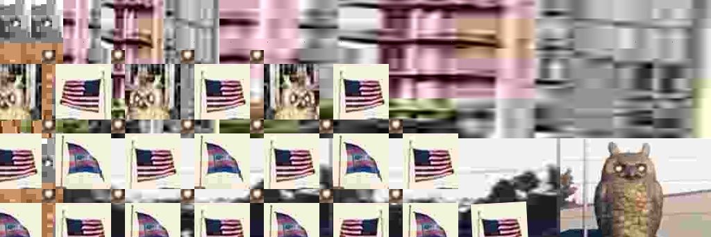 jane doe ☣︎ banner