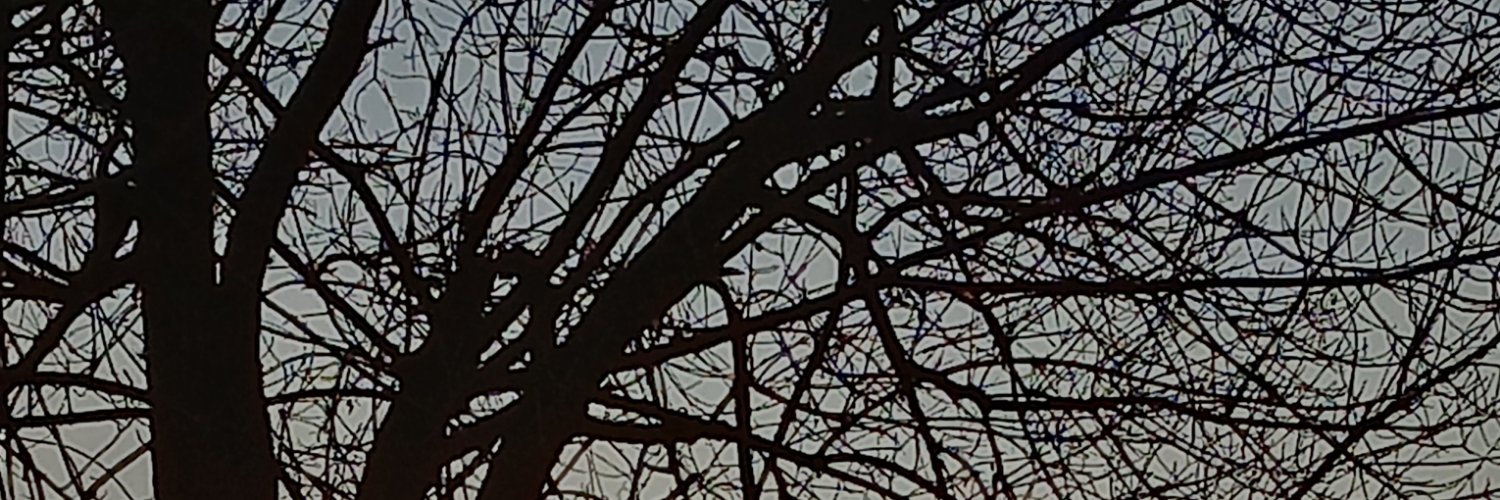 PedroRam69's profile banner image