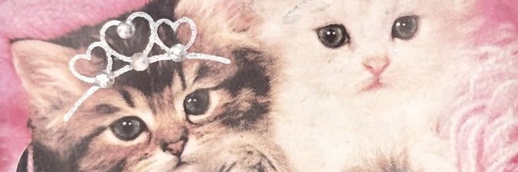 river🧁🐟 | currently dexterpilled banner