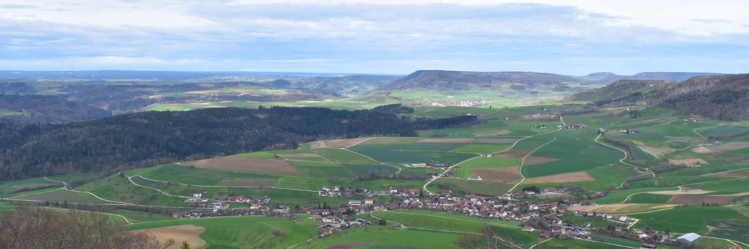 Paolo Wanner 🇨🇭🇩🇪 banner