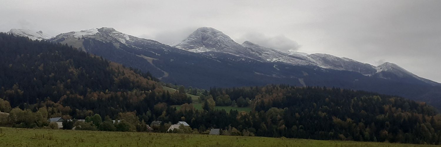 Mathieu Perrin banner