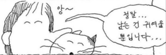 뀨 banner