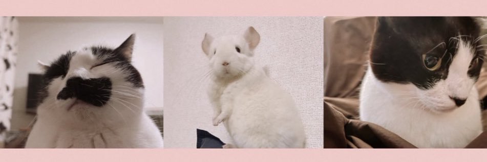 sakudooooon's profile banner image
