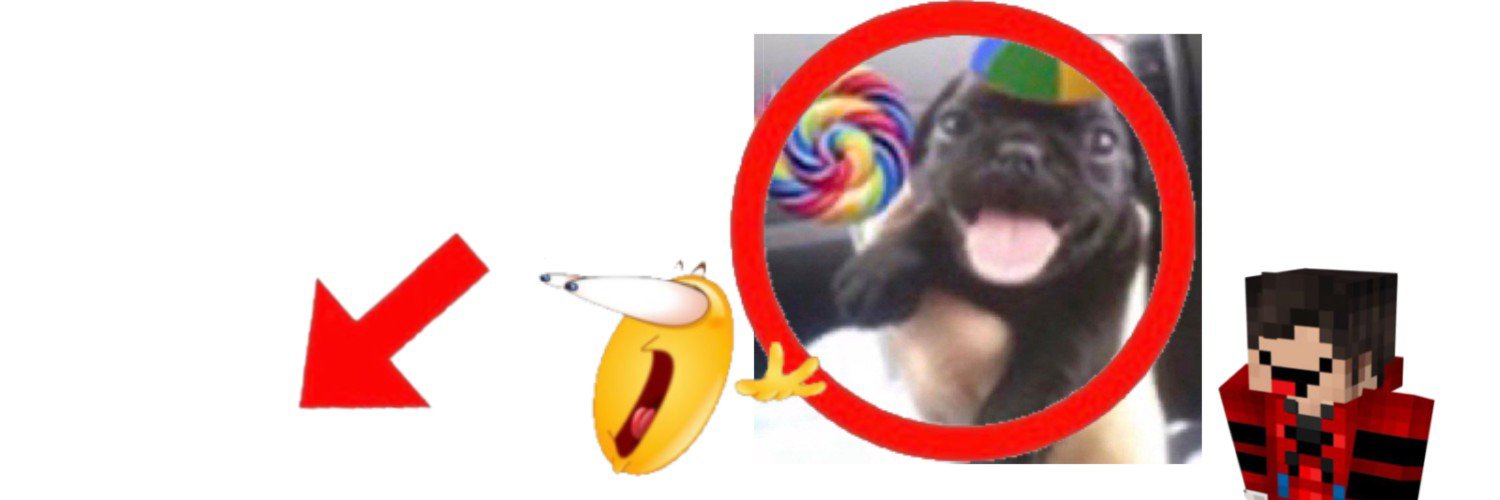 shofiwi's profile banner image