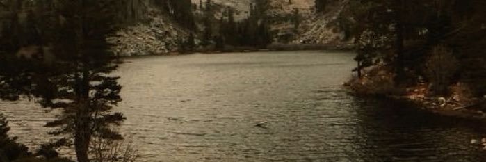 reverendhare's profile banner image