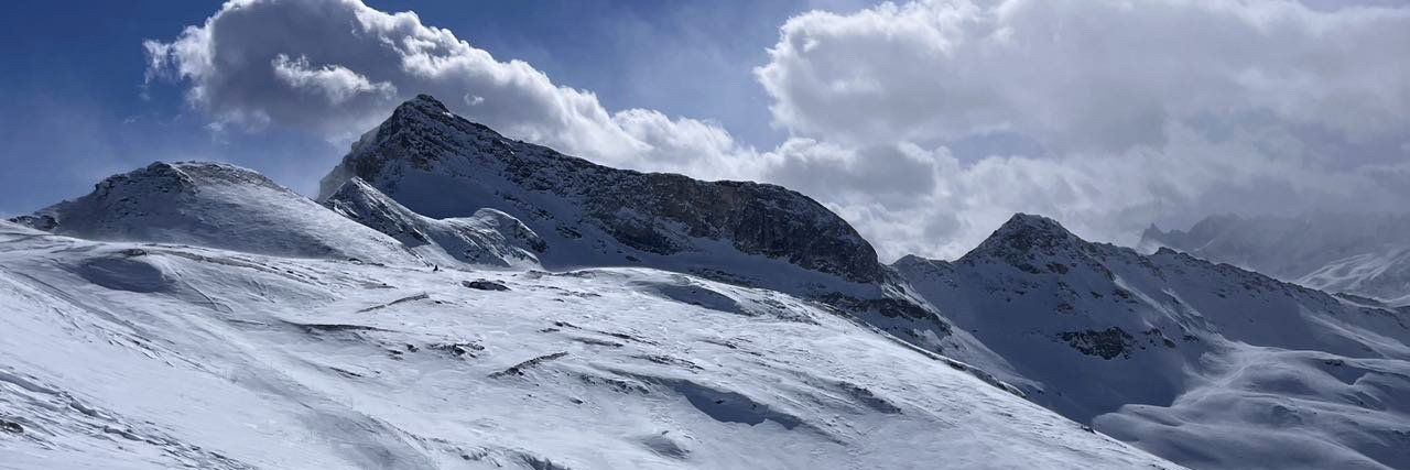 ShadowInsight banner