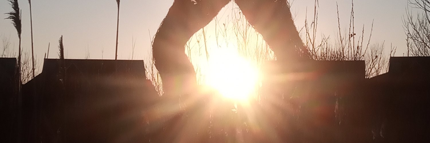 fiverscarrot's profile banner image